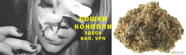 спиды Медвежьегорск