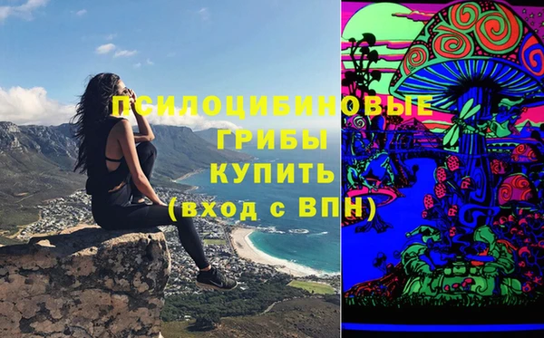 спиды Медвежьегорск