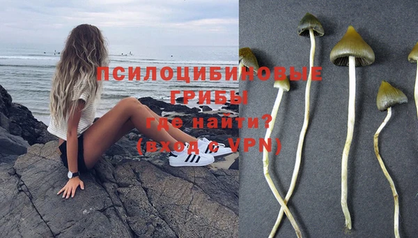 прущая мука Михайлов